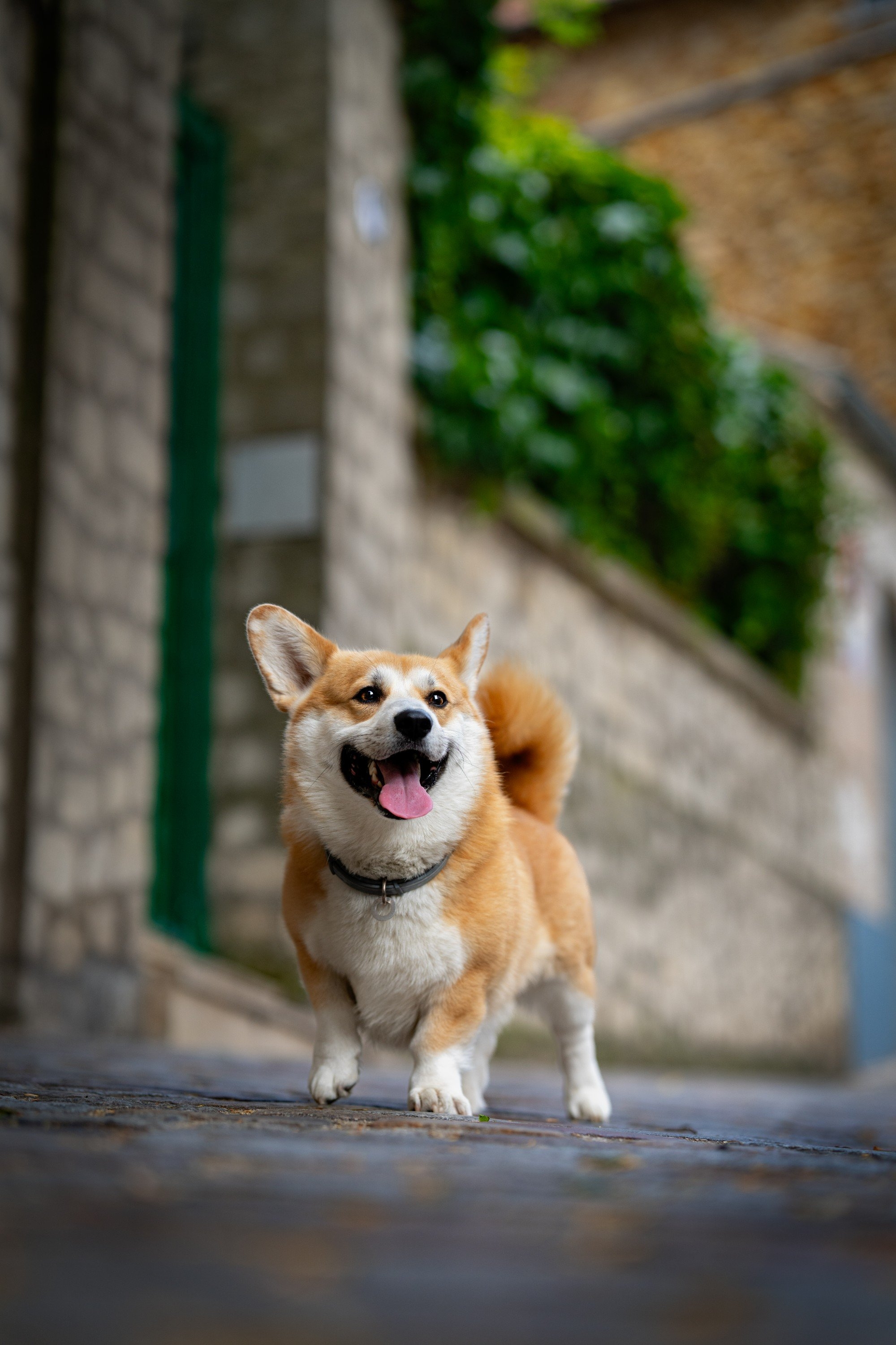 carousel-hero-element image-2