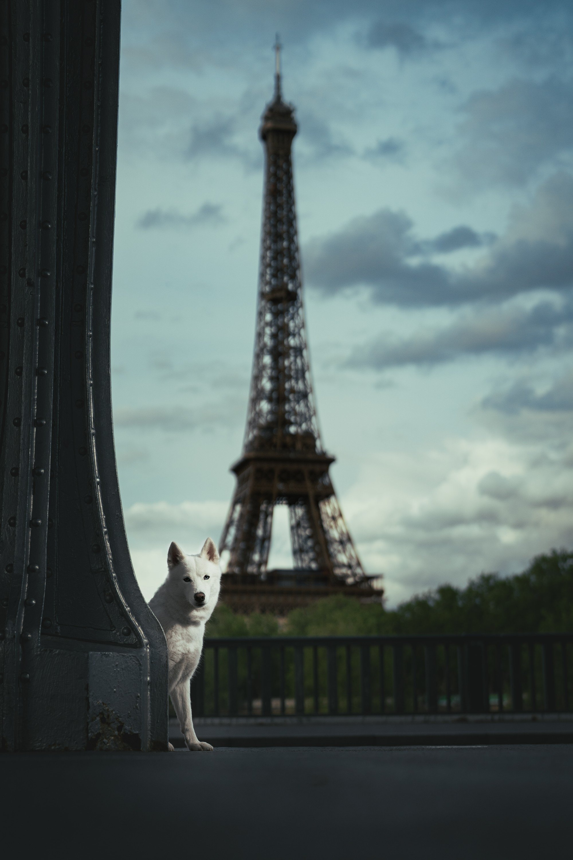 carousel-hero-element image-1