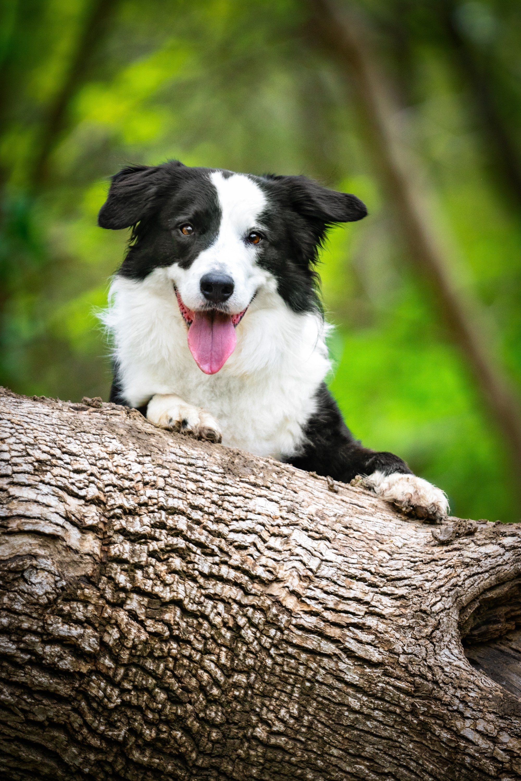 carousel-hero-element image-3