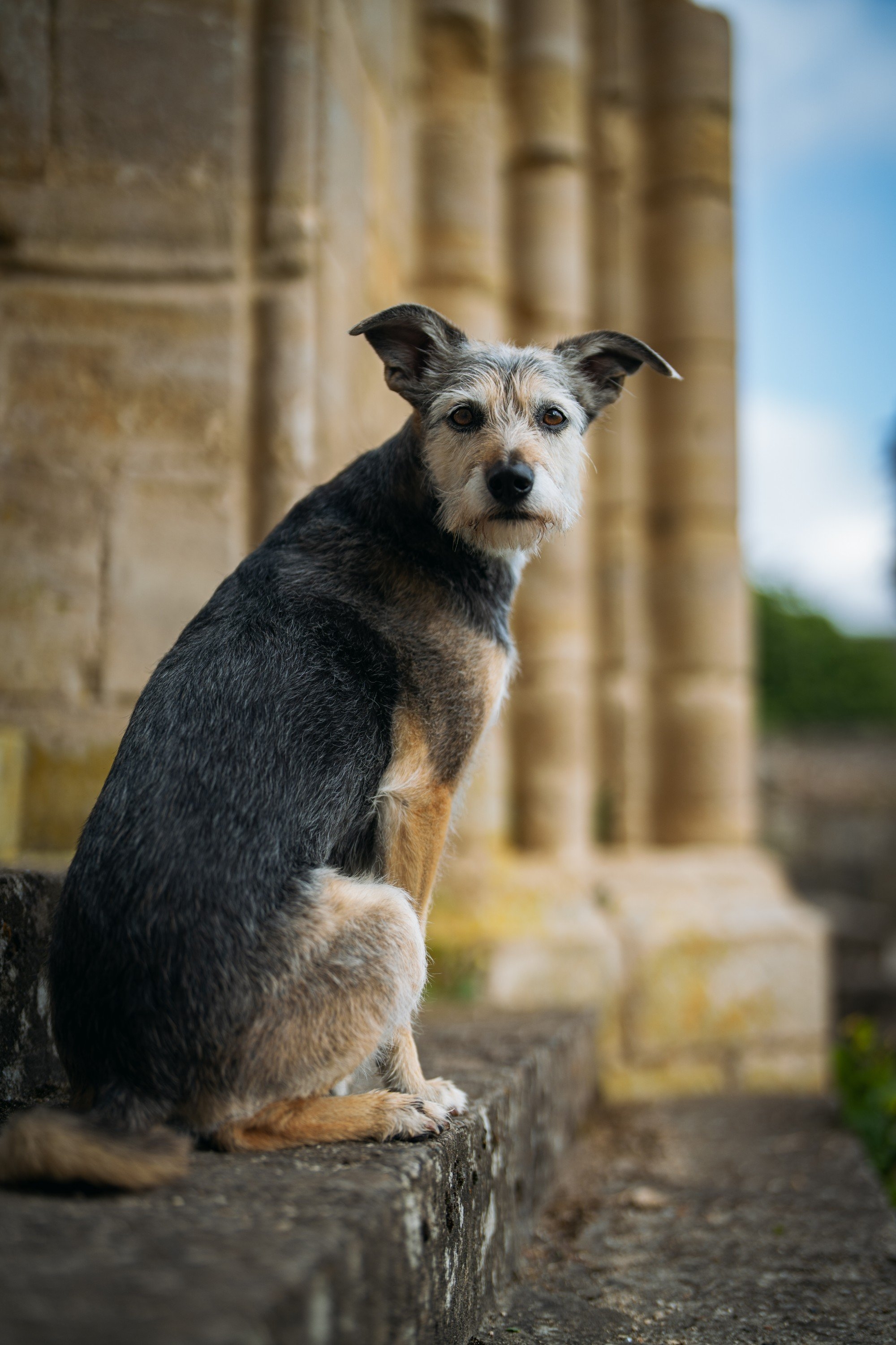 carousel-hero-element image-0