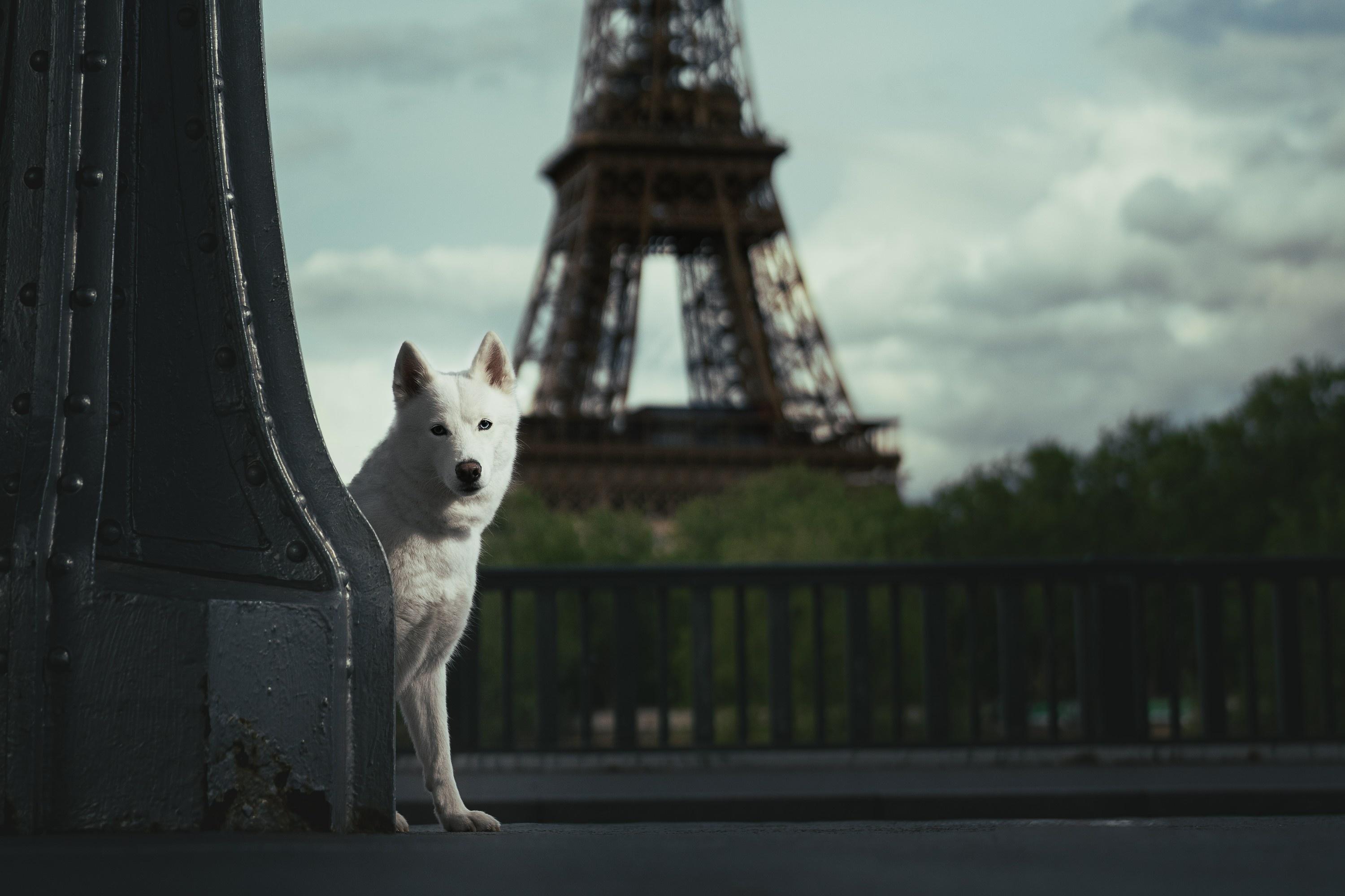 carousel-hero-element image-1