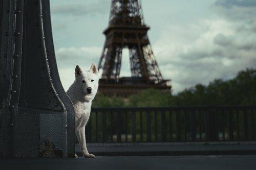 carousel-hero-element image-1