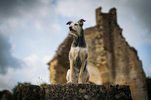 carousel-hero-element image-3