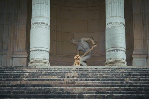 carousel-hero-element image-0