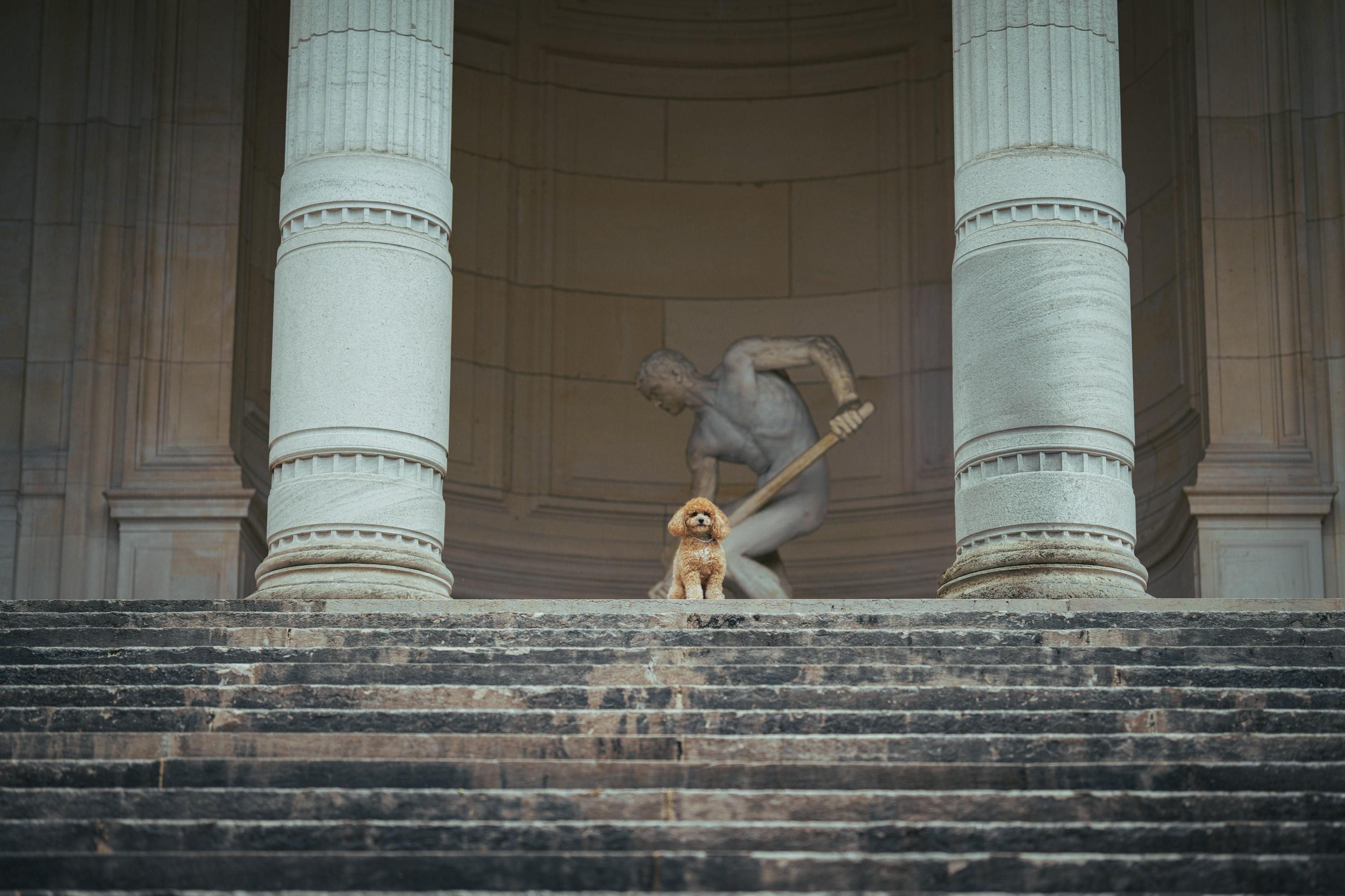 carousel-hero-element image-0