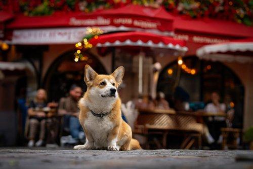 carousel-hero-element image-2